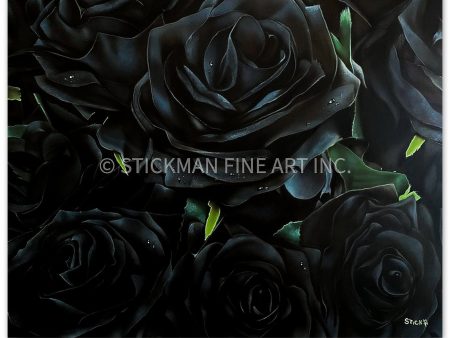 Black  (Roses) For Cheap